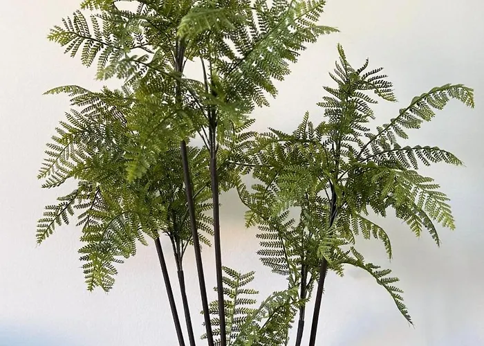 In Cristianos Balcony And On Foot 公寓 洛斯克里斯蒂亚诺斯